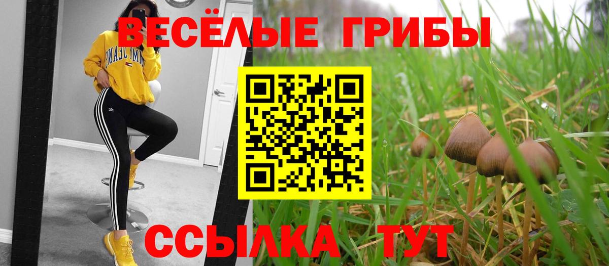 Галлюциногенные грибы ЛСД  Вход с VPN  Мурино 