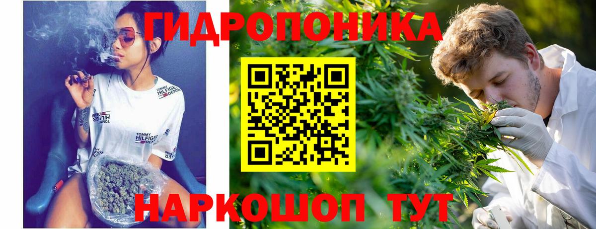 Конопля LSD WEED  Бошки Шишки OG Kush  Шишки марихуана MAZAR  Вход с VPN  Мурино  Бошки Шишки тримм 
